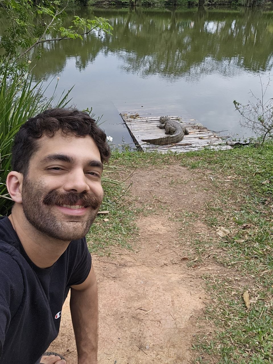 jacaré que dorme a onda leva